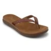 'Blowfish Malibu' Women's Santorini Thong Sandal - Whisky Wayward -Sports Shop ZS 1038 SANTORINI WHSWB 1 1024x1024@2x